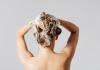 Haare waschen nach Haartyp
